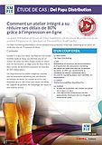 Etude de cas Del Papa Distributing