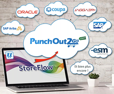 ERP intégrable à XMPie StoreFlow via PunchOut2Go